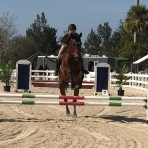 Meet your Posher, Maia